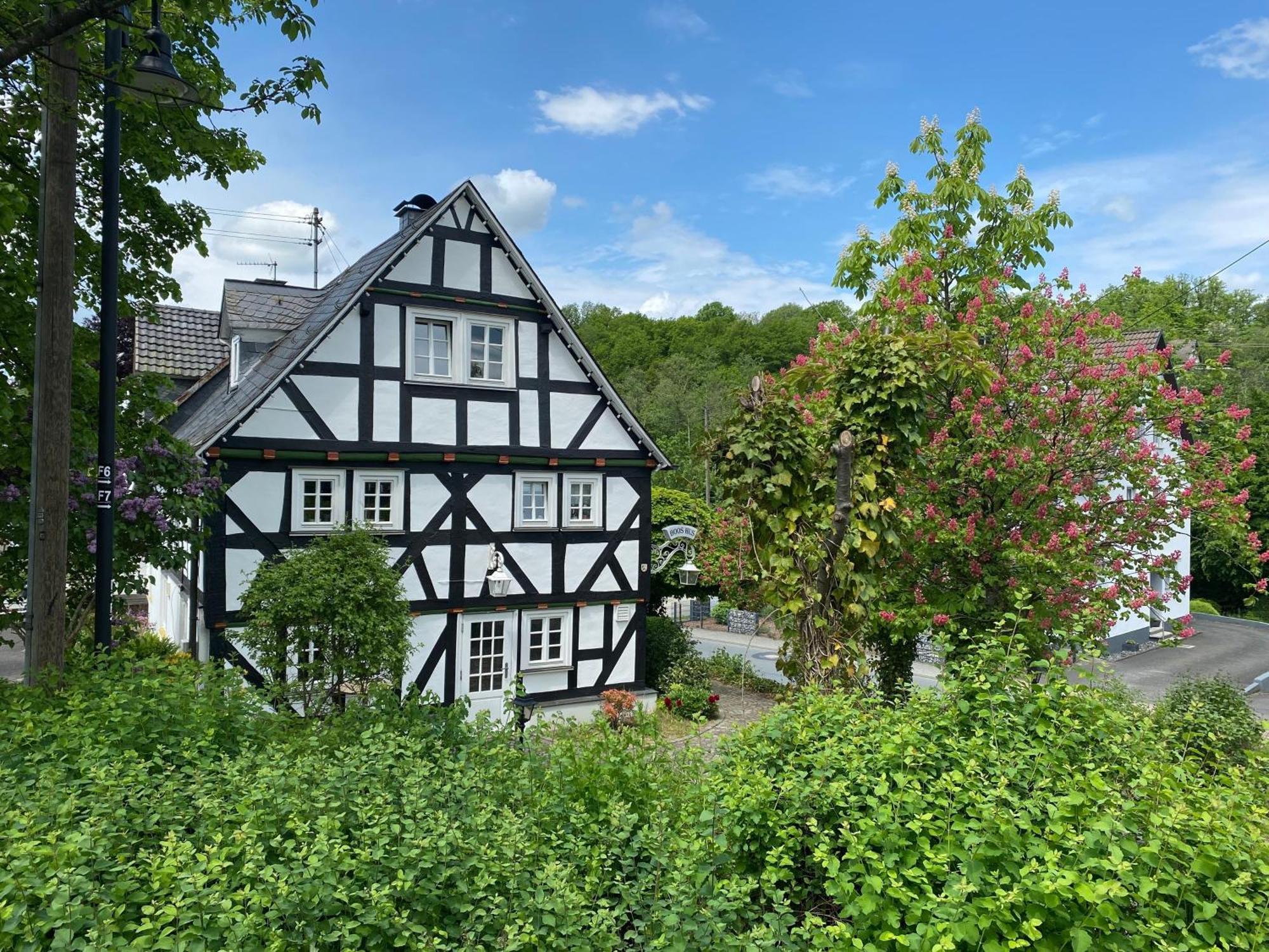 Ferienwohnung Bi Abbas Jong Freudenberg  Exterior foto
